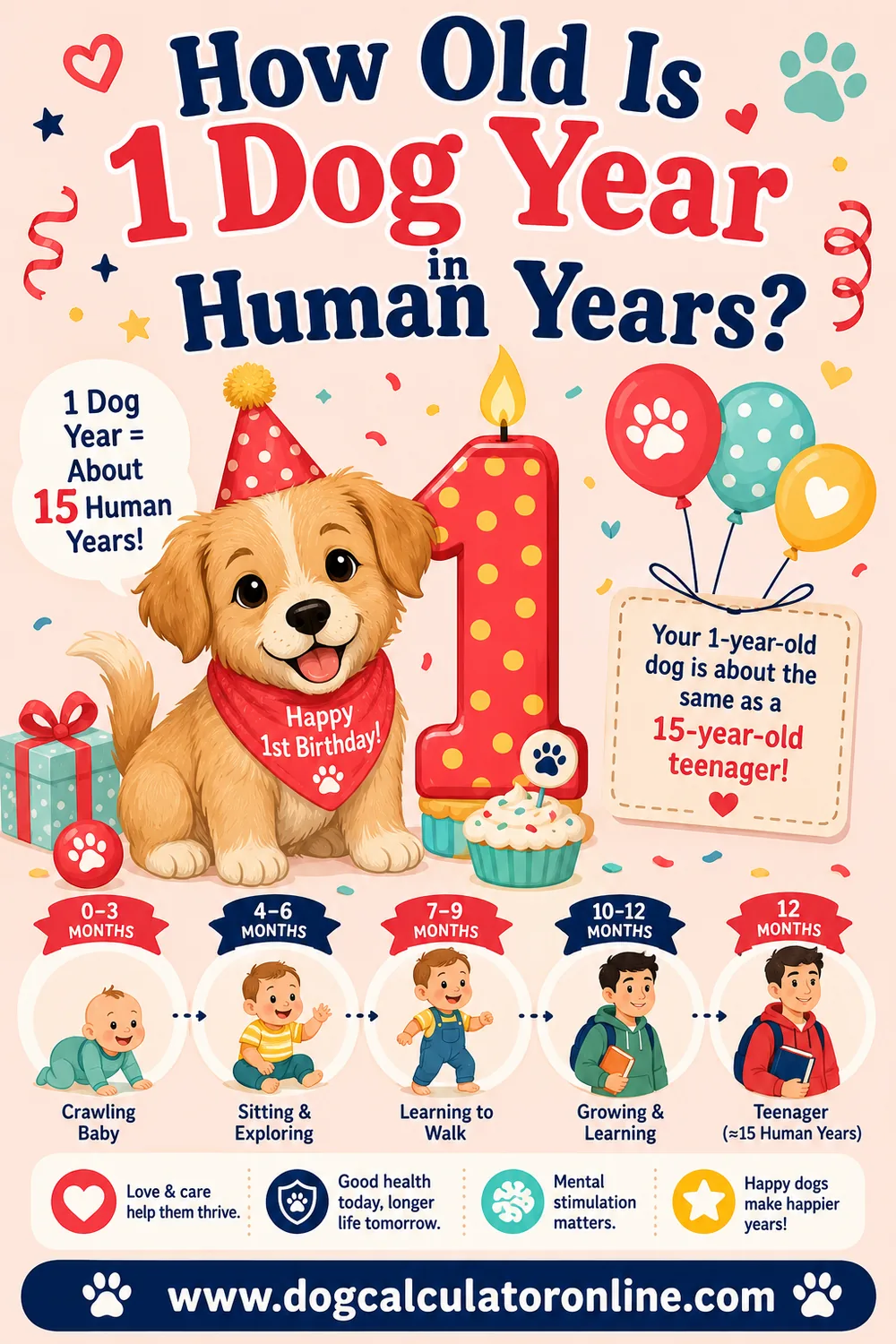 How Old Is 1 Dog Year in Human Years?