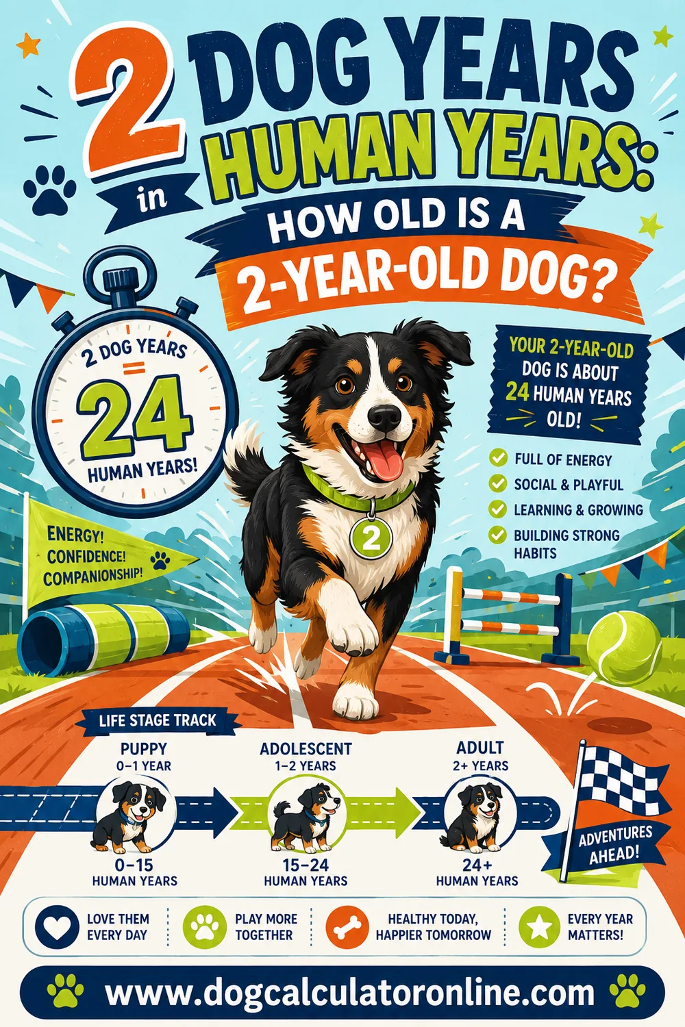 2 Dog Years in Human Years: How Old Is a 2-Year-Old Dog?
