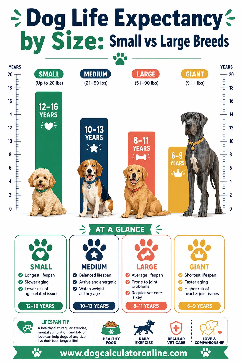Dog Life Expectancy by Size: Small vs Large Breeds