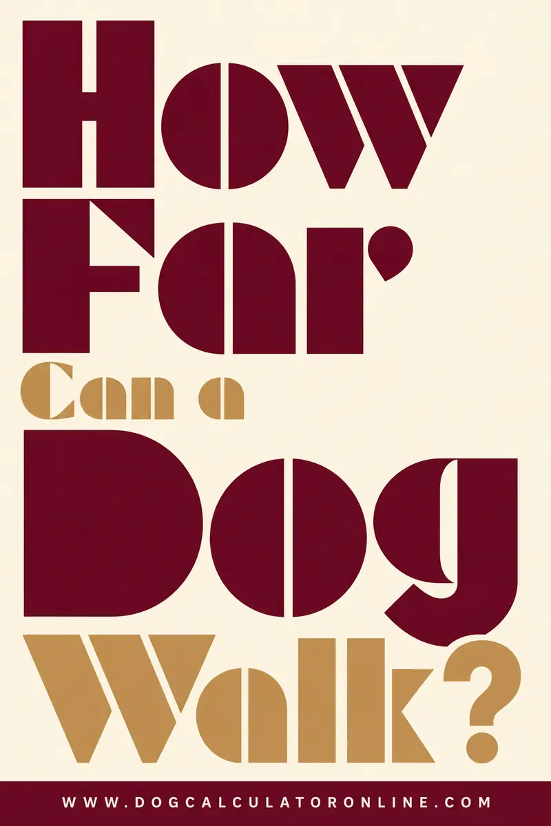 How Far Can a Dog Walk?