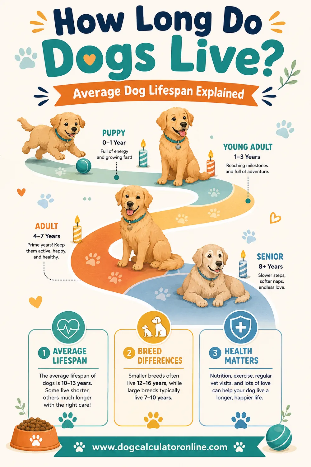 How Long Do Dogs Live? Average Dog Lifespan Explained