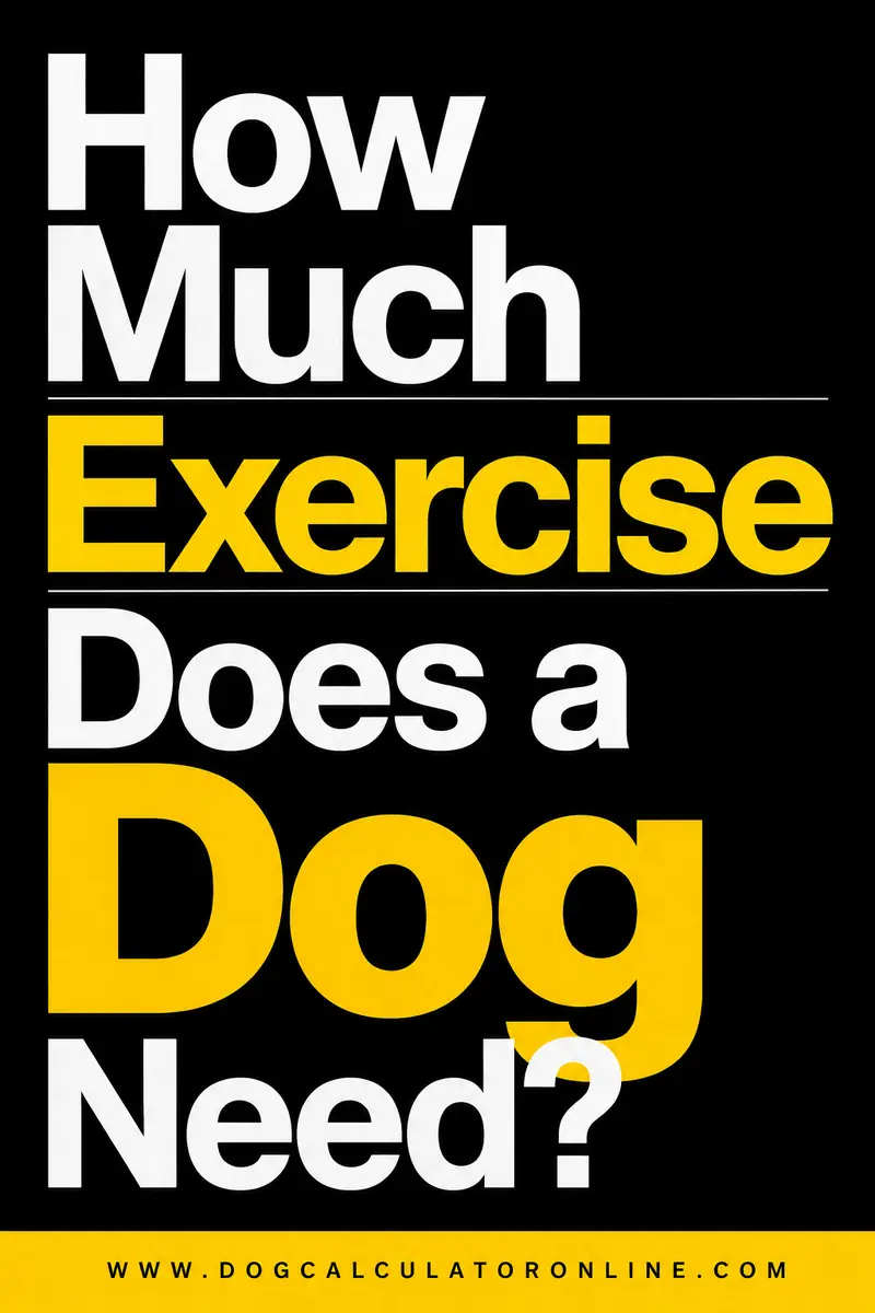 How Much Exercise Does a Dog Need?