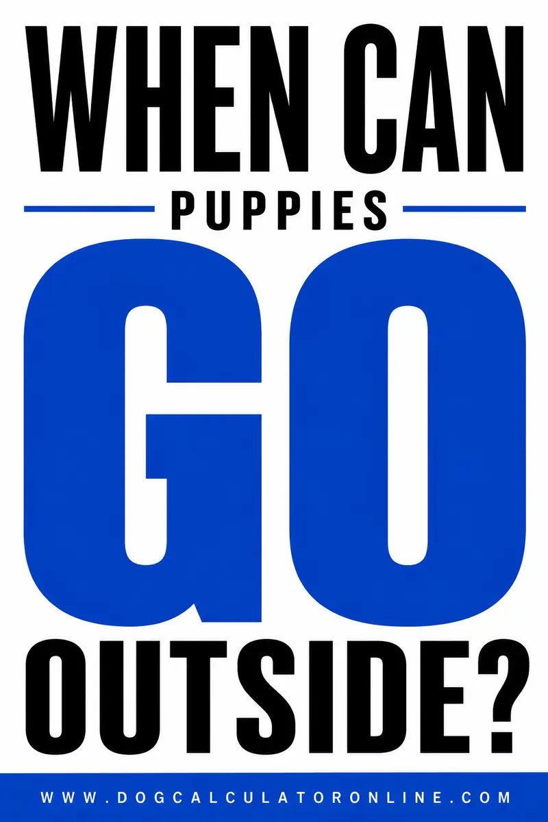 When Can Puppies Go Outside?